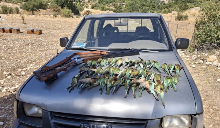 Antalya’nın Kaş ilçesinde koruma altındaki 45 arı kuşunu tüfekle avlayan kaçak avcılar yakalandı.