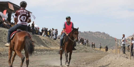 Mardin’de Geleneksel Rahvan At Yarışları Şampiyonası