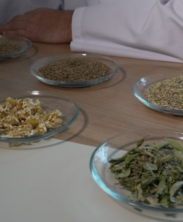 ‘Bitki çayları sindirim sistemi sağlığına katkı sağlıyor’