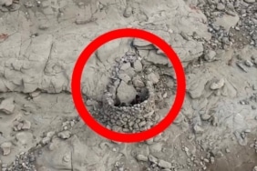 Küresel ısınma ile sayıları azalan sakarmeke avına Tunceli’de dronlu tespit