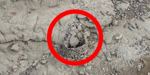 Küresel ısınma ile sayıları azalan sakarmeke avına Tunceli’de dronlu tespit