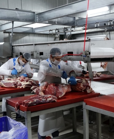 'Kurban eti'ni sebzeyle tüketim önerisi
